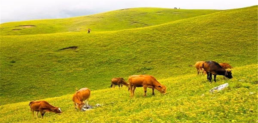 這里藏有三峽風光、草原景致，卻少有人知道！昆明出發1小時就能到！
