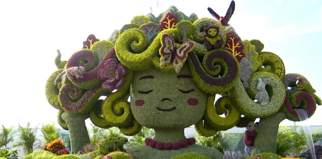 驚艷！昆明首次！快去打卡