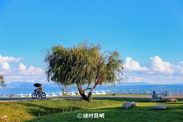 昆明旅游：忙趁東風放紙鳶！去有風的地方，在官渡放飛春日好春光~